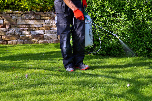 Best Pest Prevention Services  in USA